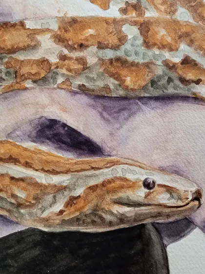 Another detailed view of the snake's head and skin texture.