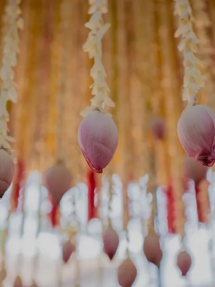 Delicate lotus buds used as hanging floral elements. The lotus is a highly symbolic flower in Indian culture, and we love incorporating it in unique ways.