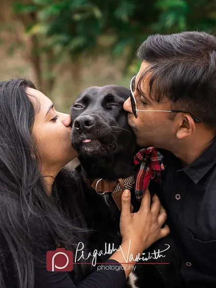 A big squishy kiss sandwich for a very loved black Labrador. His little tongue blep is the cherry on top.
