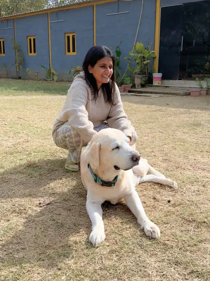 A quiet moment with a gentle giant. We ensure every dog, regardless of size or breed, receives the individual attention and affection they need to feel at home.
