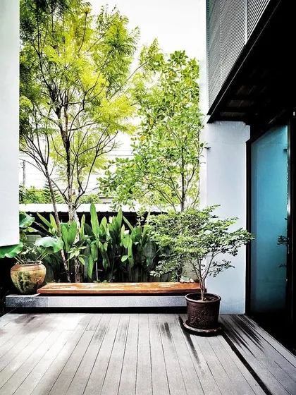 A minimalist courtyard featuring a light wood deck, a simple wooden bench, and carefully placed potted trees. This design emphasizes clean lines and the beauty of natural materials.