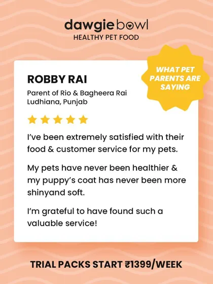 I am so grateful for reviews like this from Punjab. Knowing that a pet has never been healthier, with a shiny coat, confirms that our food and customer service are making a real difference.