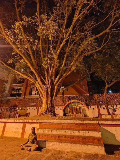 Duplicate of 29, showing a moment of meditation under a large banyan tree at night.