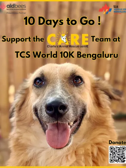 The countdown begins! With 10 days to go for the TCS World 10K, we're calling on our supporters to donate to our fundraiser and help us save precious lives.
