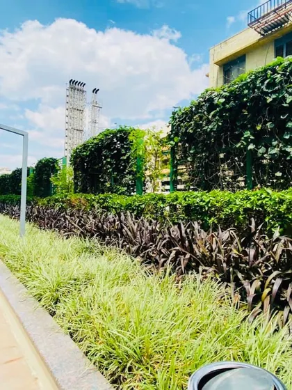 We installed a green wall using climbing plants on a trellis to create a living fence, providing privacy and greenery for this corporate campus.
