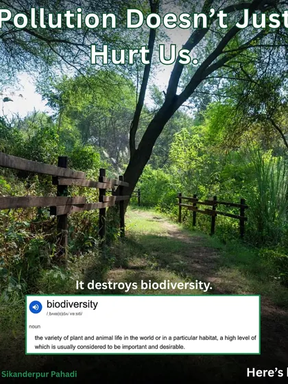 On the International Day for Biological Diversity, we highlight how our work creates space for plants, insects, and birds to return, combating the destructive effects of pollution.