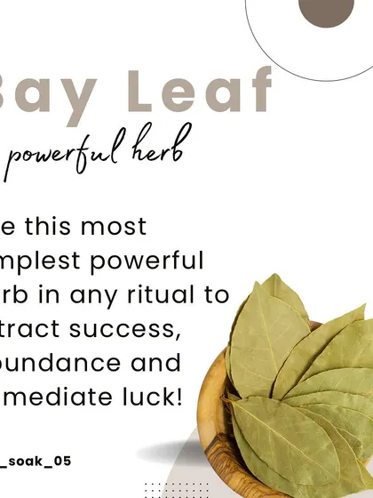 The bay leaf is one of the most accessible and powerful herbs for spiritual work. I use it in rituals to help attract success, abundance, and luck by clearing obstacles from your path.