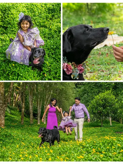A collage summarizing a beautiful outdoor family session with a young girl and her black Labrador.