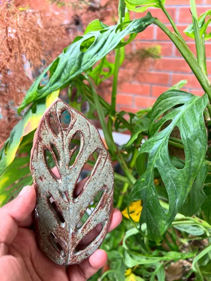 Inspired by nature, a student created this Monstera leaf spoon rest. The cut-outs mimic the natural holes in the leaf, showing great attention to detail.