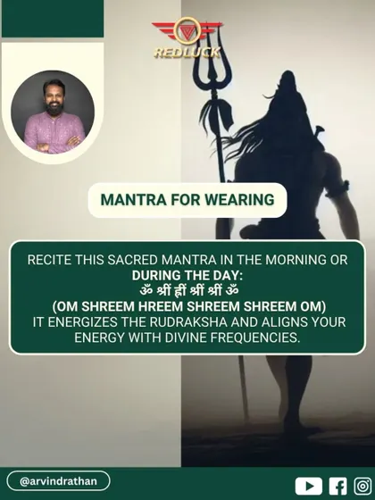 The mantra for wearing the Two-Faced Rudraksha is "Om Shreem Hreem Shreem Shreem Om." Reciting this sacred mantra in the morning or during the day energizes the bead and aligns your personal energy with its divine frequencies.