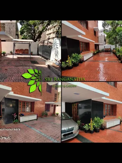 A before and after look at a driveway makeover. By adding a variety of potted plants along the wall, I was able to make the entrance feel much more green and inviting.