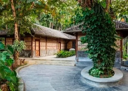 The service bay and entrance foyer at Jalakara are built around a large rain tree, integrating the architecture with the existing nature.