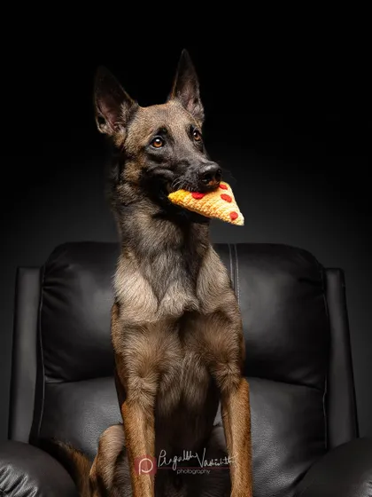 Another take from the pizza-themed shoot, showing a different, more thoughtful expression. Even in a fun setup, I aim to capture a range of emotions.
