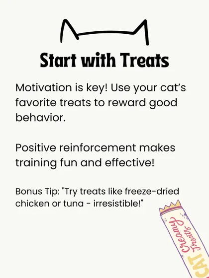 Motivation is key. Use your cat's favorite treats, like freeze-dried chicken or tuna, to reward good behavior. Positive reinforcement makes training fun.