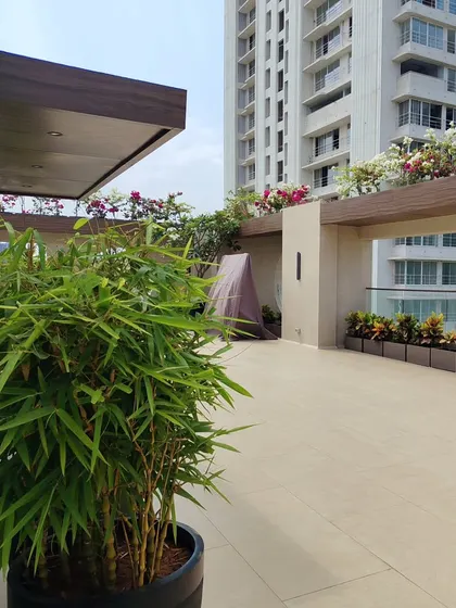 A large bamboo plant can add a tropical feel and provide some privacy for your terrace. It's just one of the many options I can suggest when we design your personal garden space together.