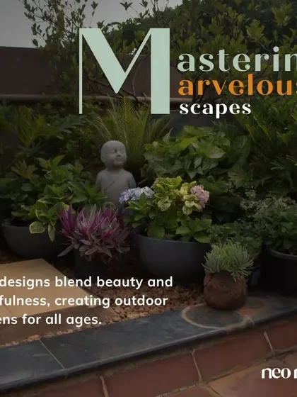 This image, with its collection of potted plants and a small Buddha statue, represents my goal of mastering marvelous scapes that blend beauty with a sense of playfulness and peace.