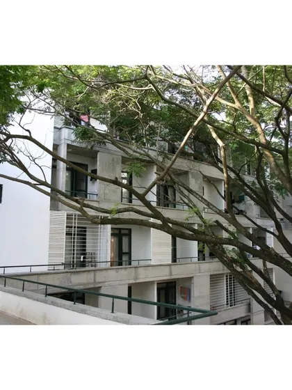 The hostel building seen through the branches of an old tree. Preserving the campus's mature landscape was a primary goal of the project.