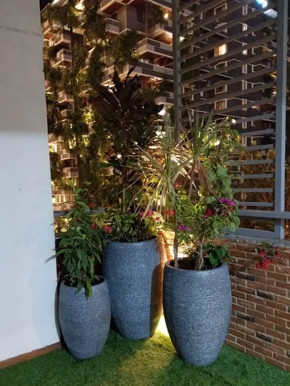 Transforming a modern balcony with a trio of statement planters. The varying heights and plant types, including Dracaena and Bougainvillea, create a dynamic and stylish green space against the city backdrop.
