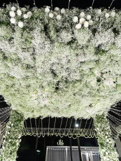 A close-up of the ceiling of our baby's breath mandap. The sheer volume of delicate white flowers creates a cloud-like effect, proving that sometimes, more is more.