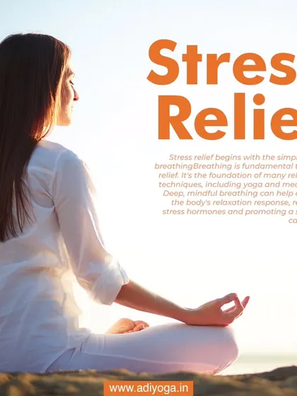 Stress relief begins with the simple act of breathing. Meditation and focused breathwork are fundamental to calming the nervous system and reducing stress hormones.