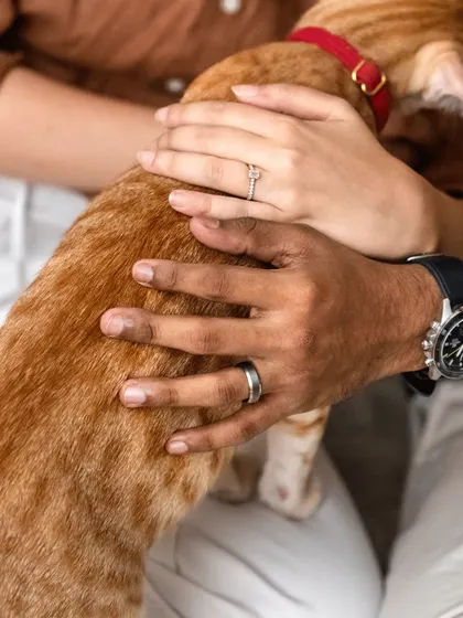 A close-up of the engagement rings, with Toffee the cat's fur in the frame. It's a subtle and artistic way to include your pet in the details of your announcement.