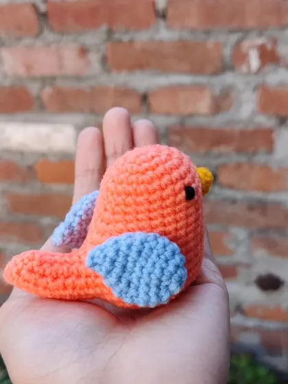 A cute orange and blue bird, small enough to fit in your palm.