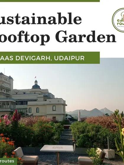 An overview of the sustainable rooftop garden at RAAS Devigarh, Udaipur. This space has been thriving for over six years, providing fresh produce in a luxurious setting.