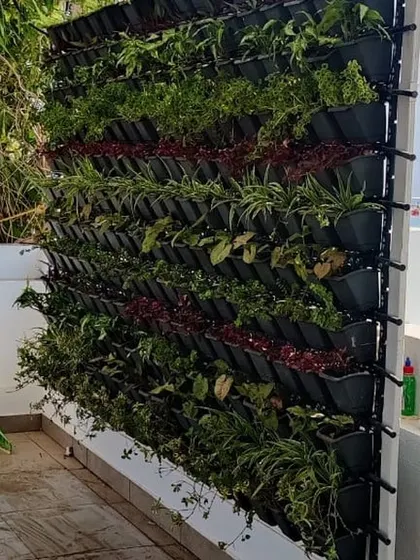 Another example of a vertical garden installation on a terrace wall. We use a variety of plants to create texture and visual interest, turning a plain wall into a living piece of art.