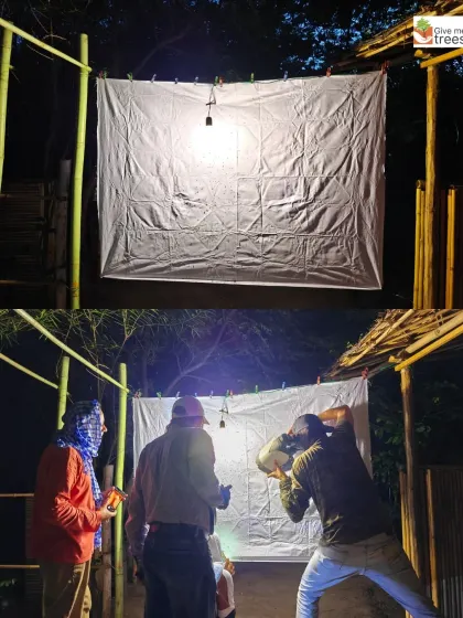 Setting up for a moth screening at our Sorkha plantation site. A simple white sheet and a light are all it takes to reveal the hidden nocturnal biodiversity of a forest.