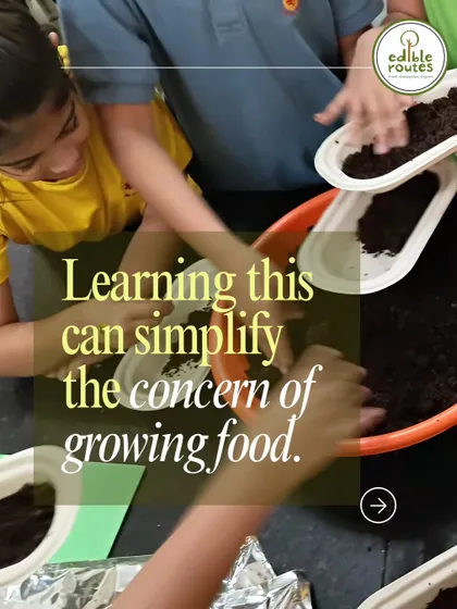 Learning to grow food can be simple and fun. Here, children are getting their hands into the soil to plant microgreens, a perfect first step into the world of gardening.