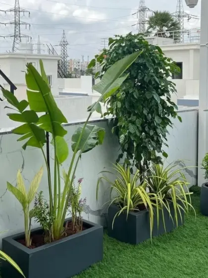 This image shows a spacious terrace with artificial turf, creating a perfect area for relaxation or entertainment. The planters add height and variety to the landscape design.