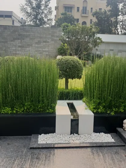 A minimalist water feature with tall horsetail reeds adds a touch of Zen to this garden space. The clean lines of the planters and the simple white pebble details create a calm and contemplative corner.