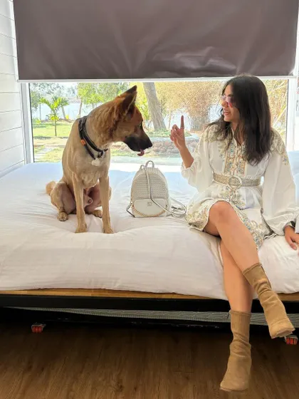 Our "no furniture restrictions" rule means your dog can join us on the bed for a chat. We believe in building a bond with every pet, and that includes sharing our space and giving them lots of one-on-one time.
