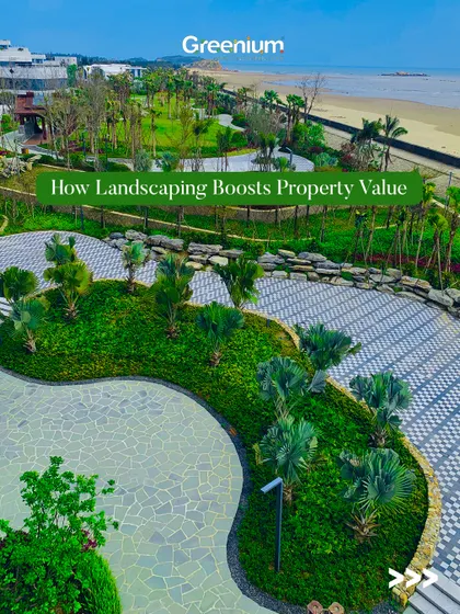 A beautiful example of how landscaping boosts property value. This aerial shot shows a large coastal property with curved pathways, manicured lawns, and strategically planted palm trees.