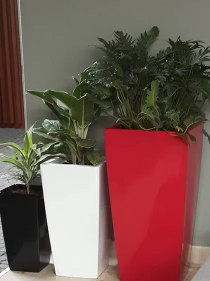 Another view of the red, white, and black planter trio, showing how they can be grouped to create a high-impact display.