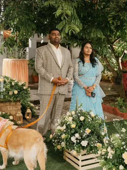Guests watching the bride's entrance, with their furry friend also in attendance.