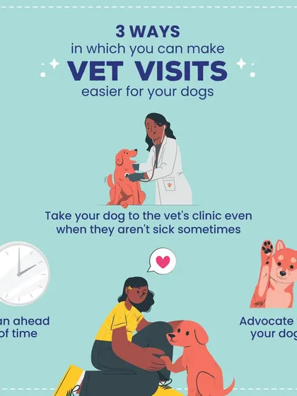 Vet visits can be stressful for dogs. This guide offers three ways to make the experience easier, including planning ahead, advocating for your dog, and taking them to the clinic for fun visits when they aren't sick.