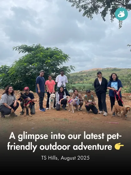 We love taking our adventures outdoors. This picture is from our recent pet-friendly hike to TS Hills, where dogs and their parents bonded over a morning of exploration, tail wags, and beautiful weather.