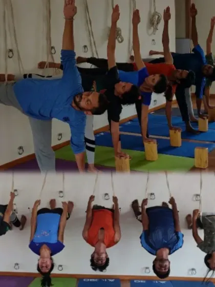 A collage showing students using the rope wall for inversions and blocks for standing poses. This highlights the versatility of props in a single class to support different types of asanas.