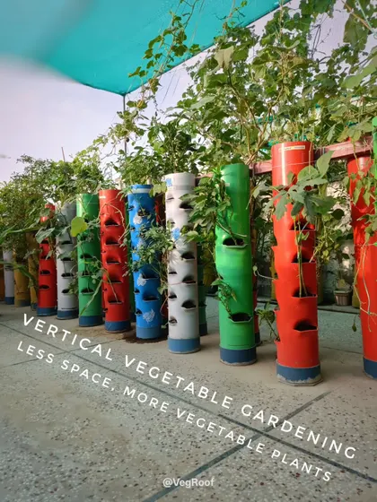 Another view of the space saving design. These towers line the edge of a terrace, turning an unused area into a productive food garden.