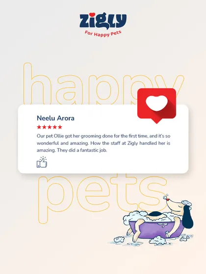 "Our pet Ollie got her grooming done for the first time, and it's so wonderful and amazing." We take special care of first-timers to ensure their introduction to grooming is a positive and gentle one.