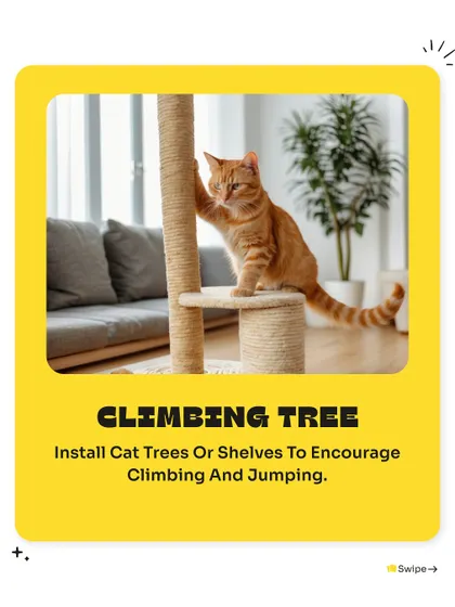 Encourage your cat's natural desire to climb and jump by installing cat trees or shelves. This is a great way to enrich their environment and keep them active.