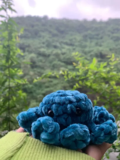 I took my little squishy octopus on an adventure. I love how the velvet yarn makes these amigurumi creations so soft and huggable, and the no-sew pattern is free on my page.