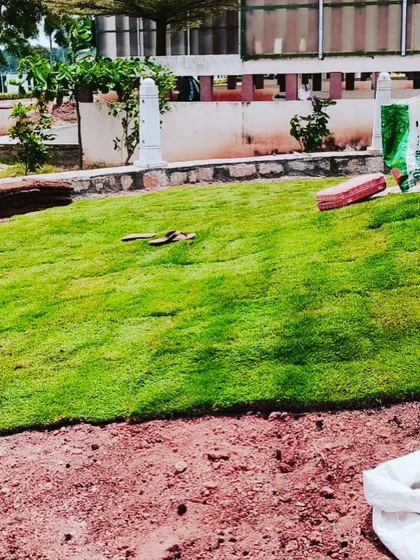 Laying down the final pieces of turf on a small mound in a park.