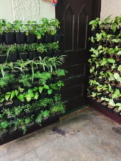 Another view of the corner vertical garden, showing how it can transform a plain wall into a vibrant feature.