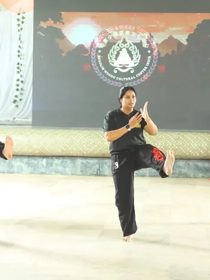 A clear, focused shot of the high kick and block posture. This highlights the balance and control required for Wushu techniques.