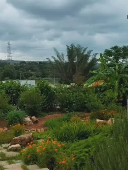 A view from the "Breathe" residence, where the architecture and landscape are designed as true companions. The house occupies only a quarter of the site, allowing the rest to become a thriving, eco-sensitive landscape that supports native plants and creates a habitat for local wildlife.