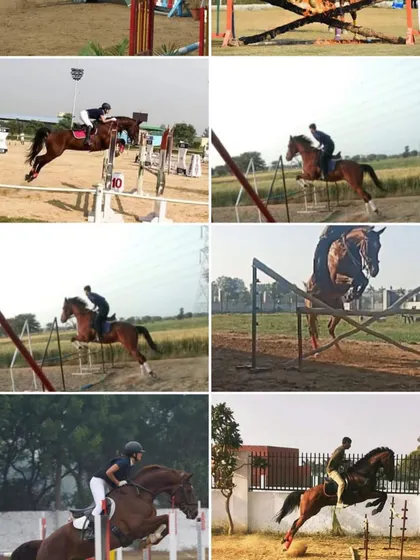 A collage showcasing various moments from our show jumping training sessions. You can see different riders, horses, and jump setups, highlighting the breadth of our program.