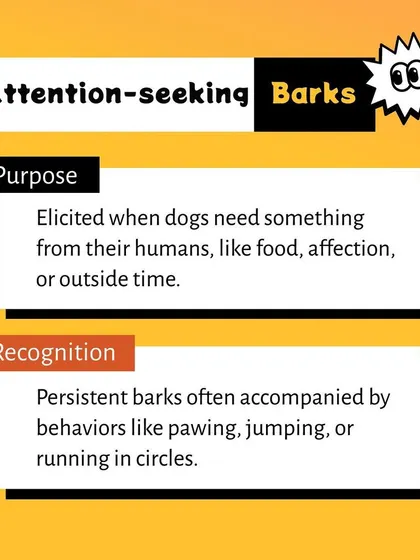 This visual describes attention-seeking barks, which dogs use to communicate a need. These barks are often persistent and accompanied by actions like jumping or running in circles to get your attention.