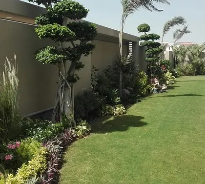 This garden features beautifully sculpted topiary trees along a wall, set against a perfect lawn. The stone path provides a clean edge and walkway.